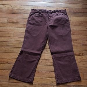 Boutique brown capri pants size 8